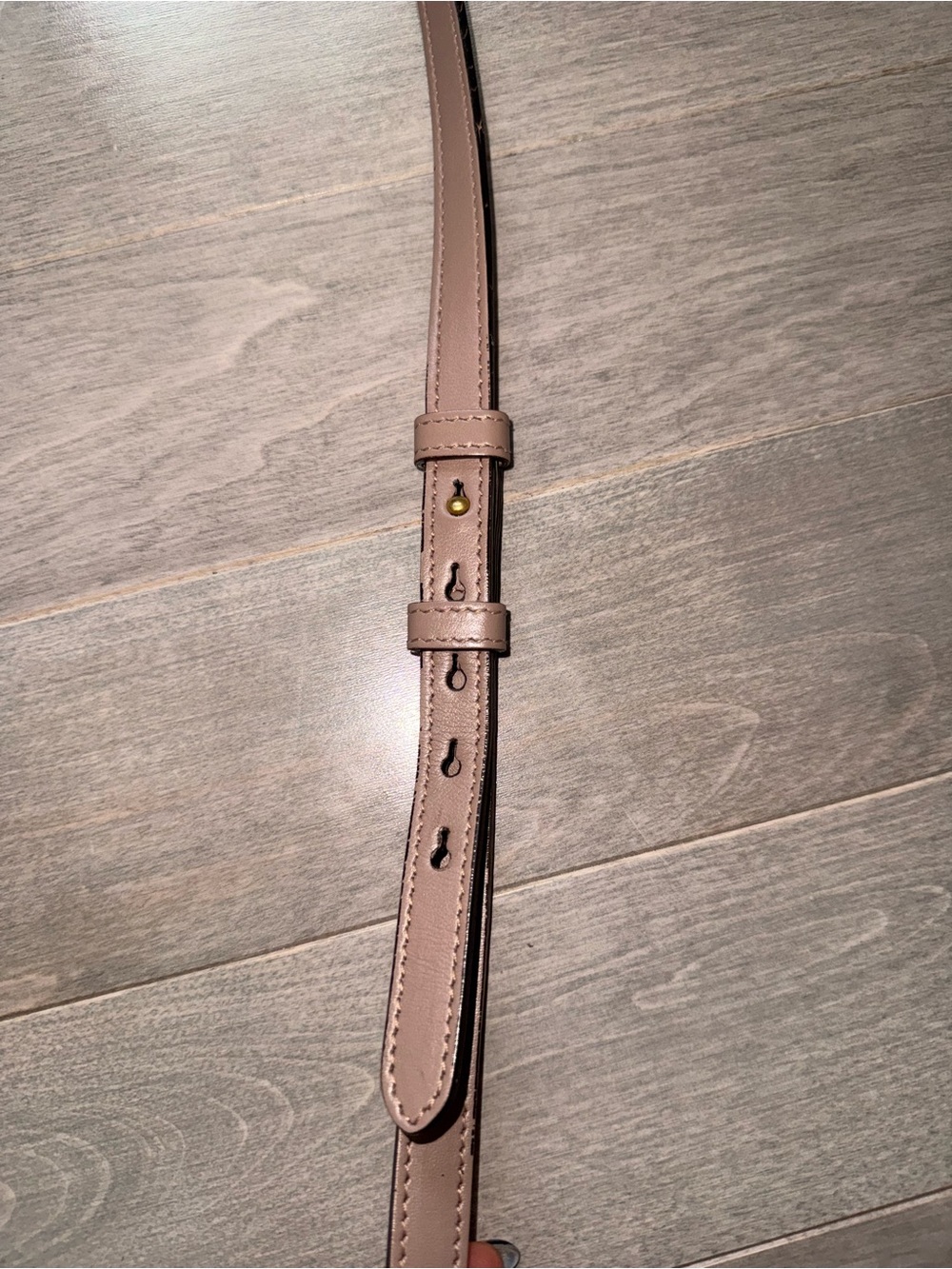 Gucci Blush Chevron Leather Crossbody with Gold Double G - Picture 9 of 15